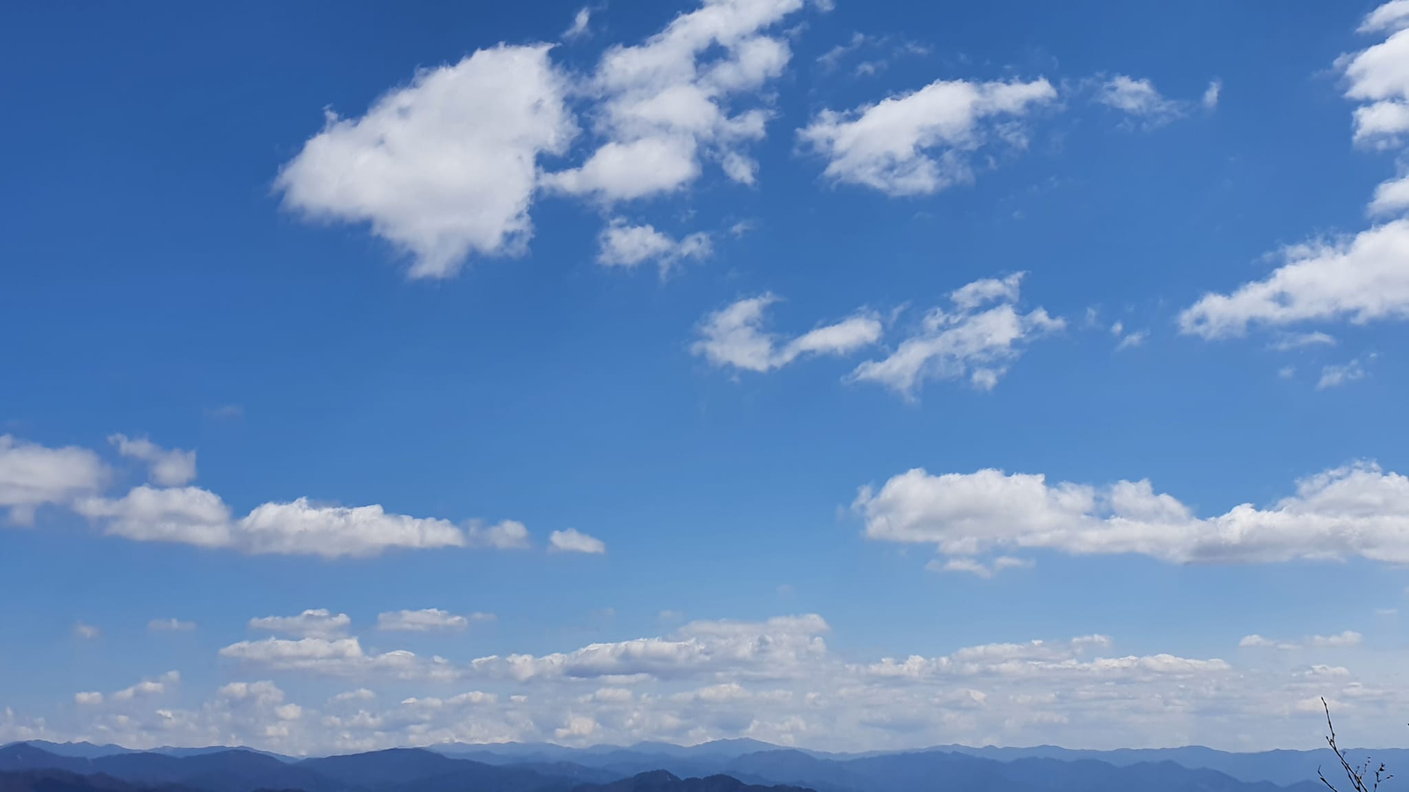 작성자 프로필 이미지