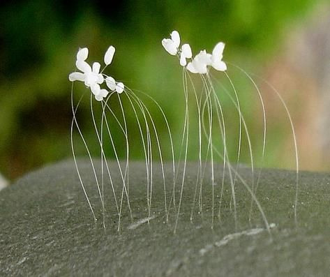 작성자 프로필 이미지