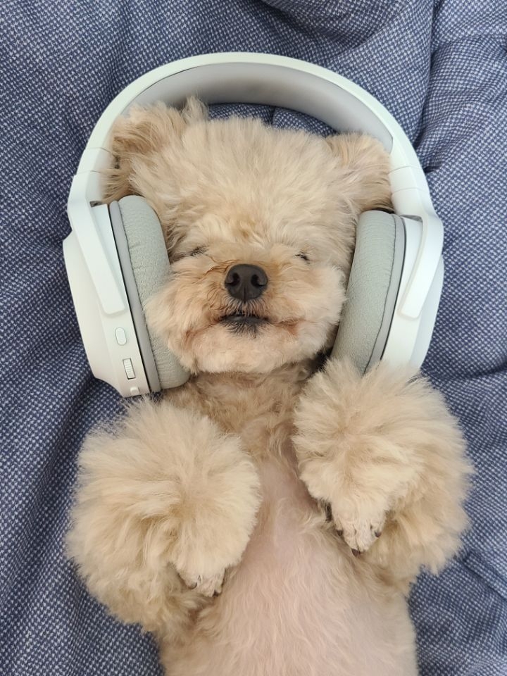 작성자 프로필 이미지