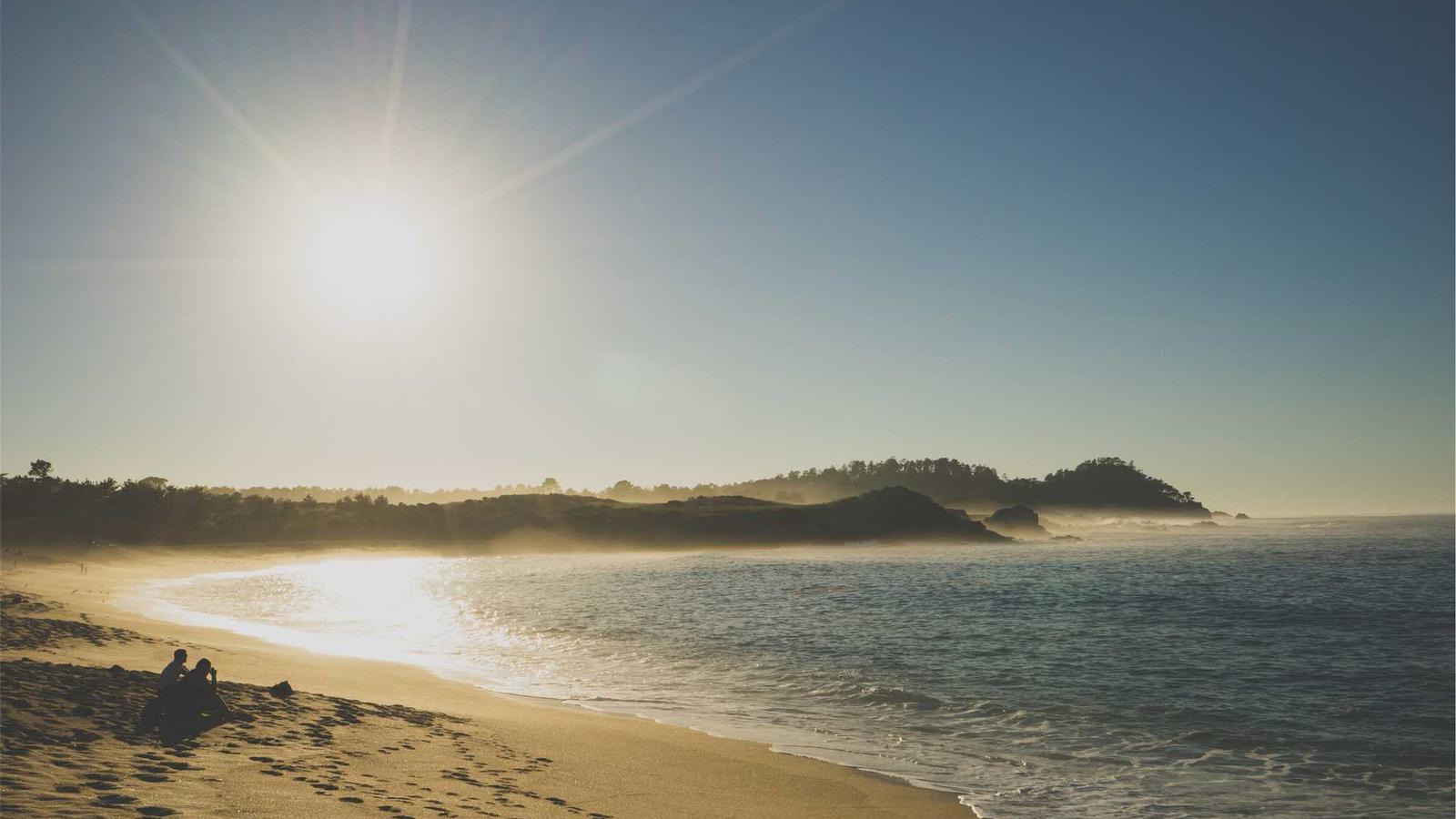 작성자 프로필 이미지