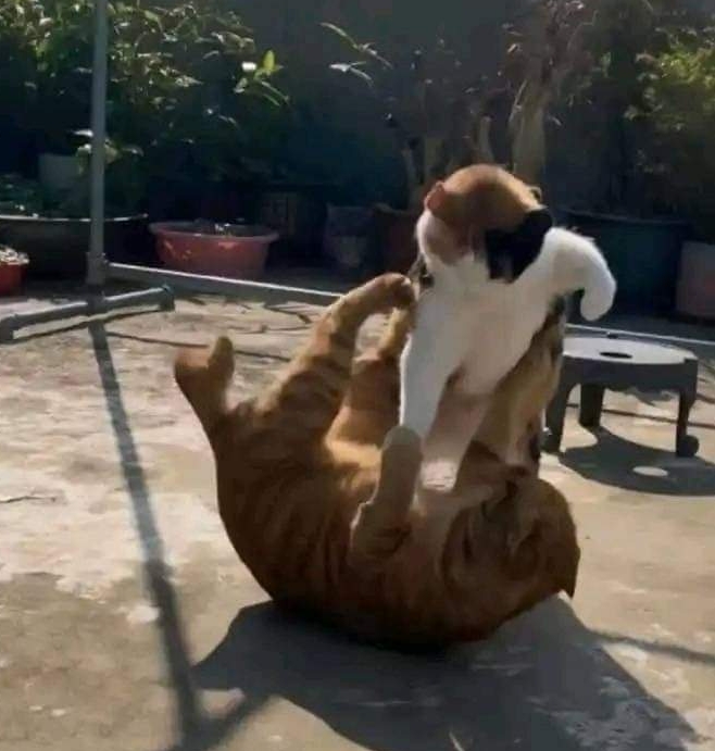 작성자 프로필 이미지