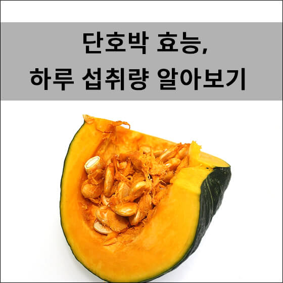 작성자 프로필 이미지