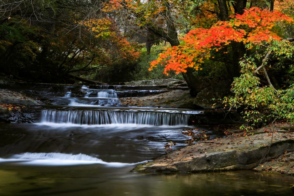 작성자 프로필 이미지