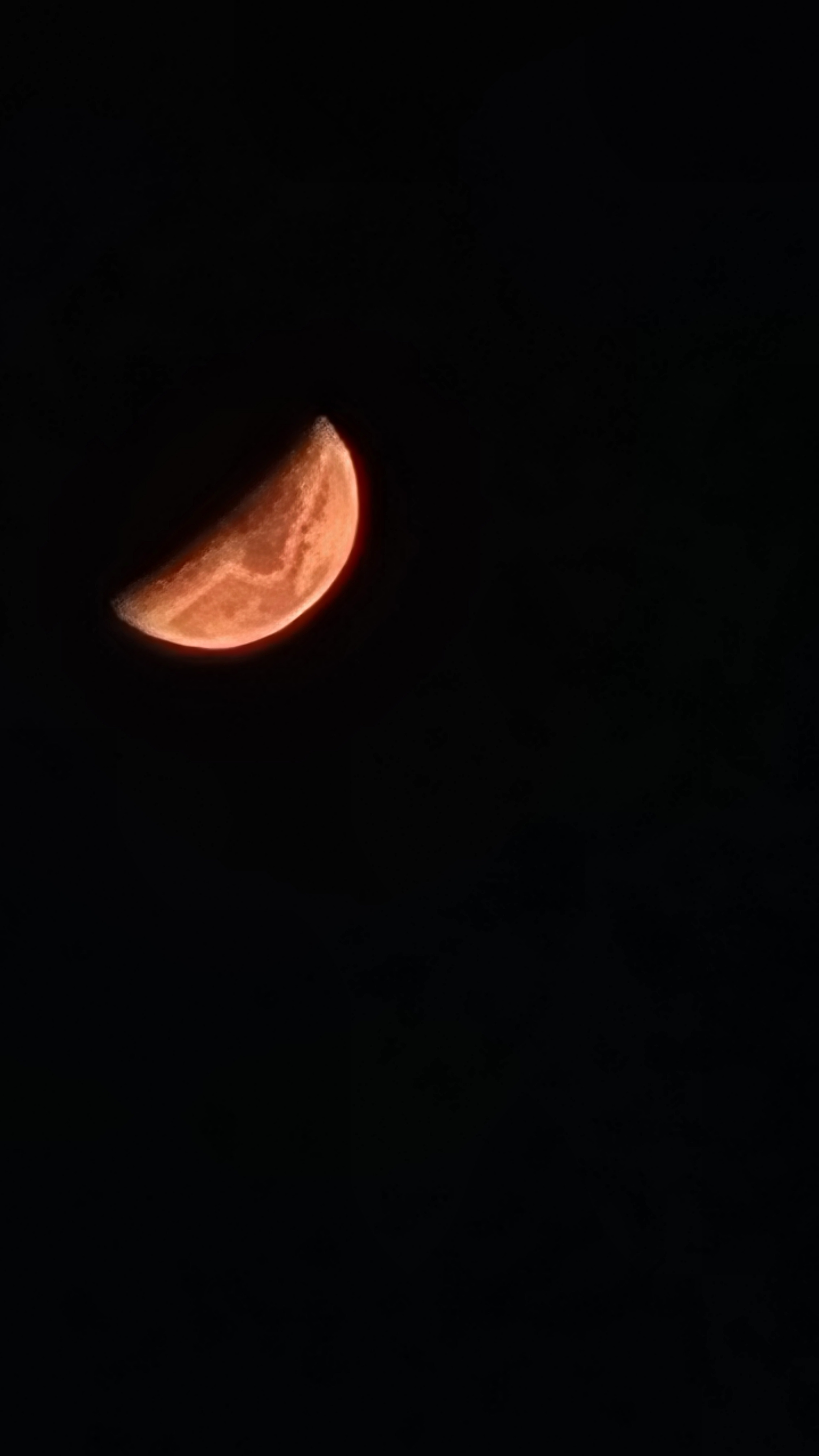 작성자 프로필 이미지