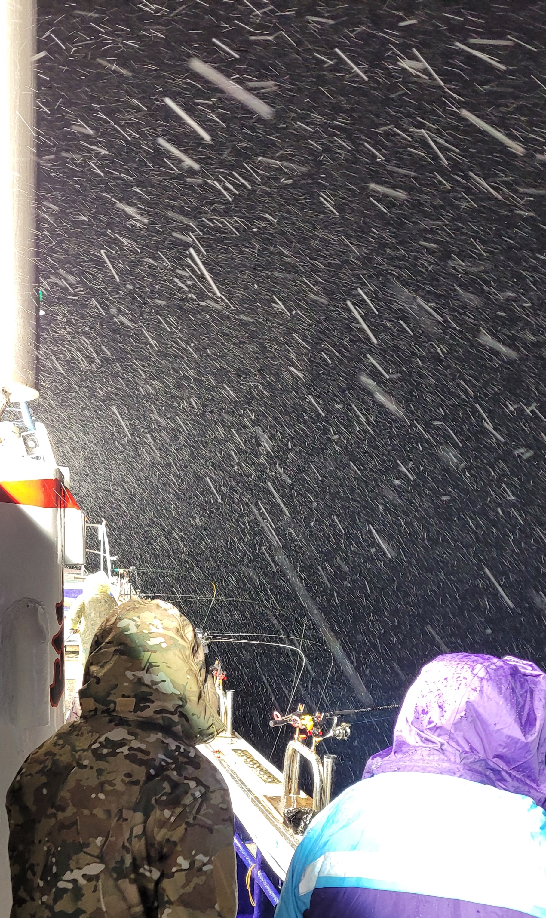 작성자 프로필 이미지