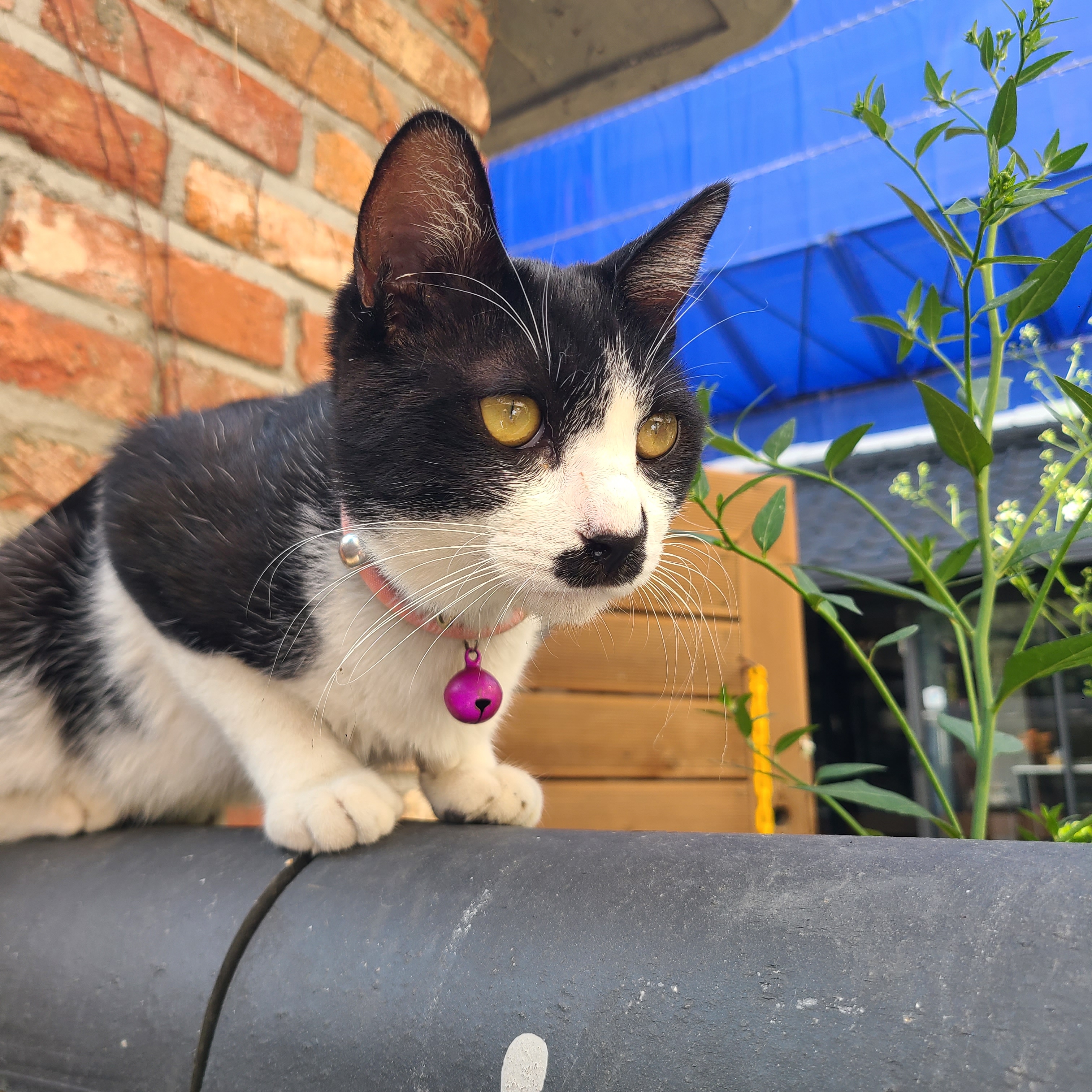 작성자 프로필 이미지