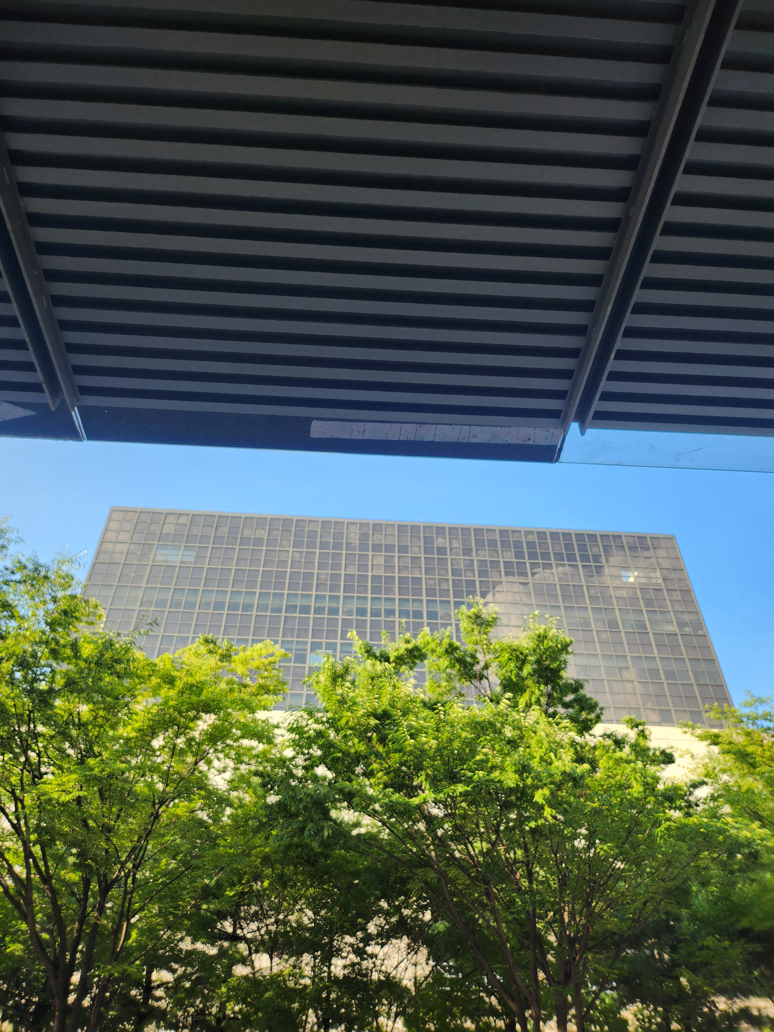 작성자 프로필 이미지