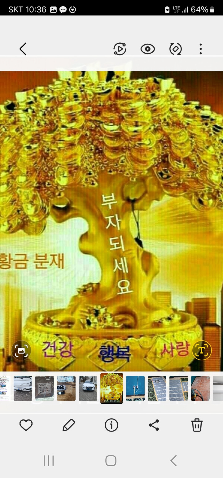JIN Jung wan 프로필 이미지