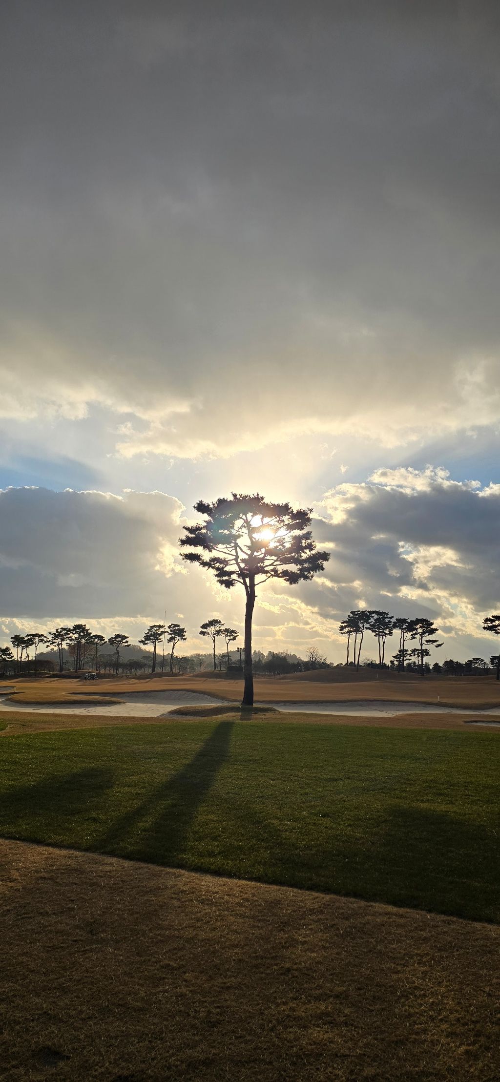 작성자 프로필 이미지