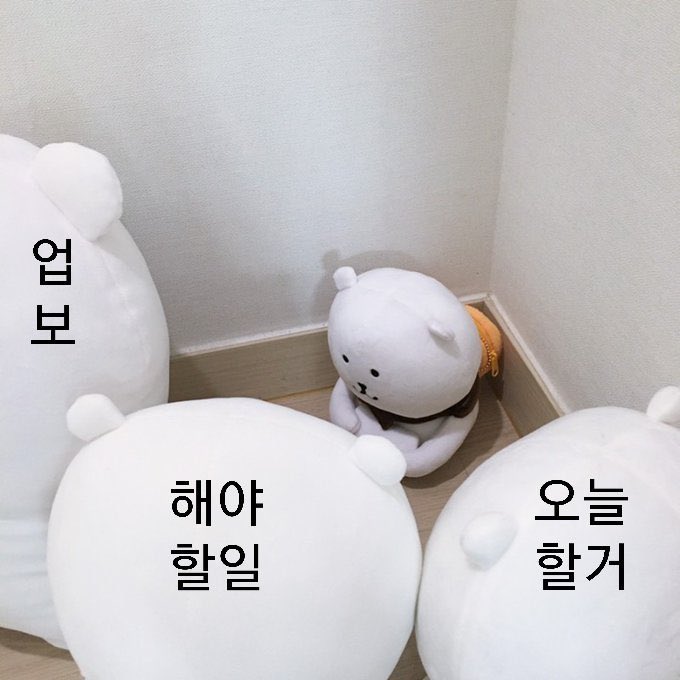 작성자 프로필 이미지