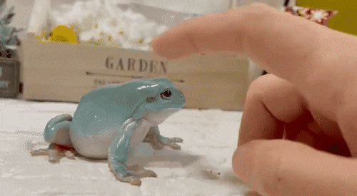 깍쟁이 프로필 이미지