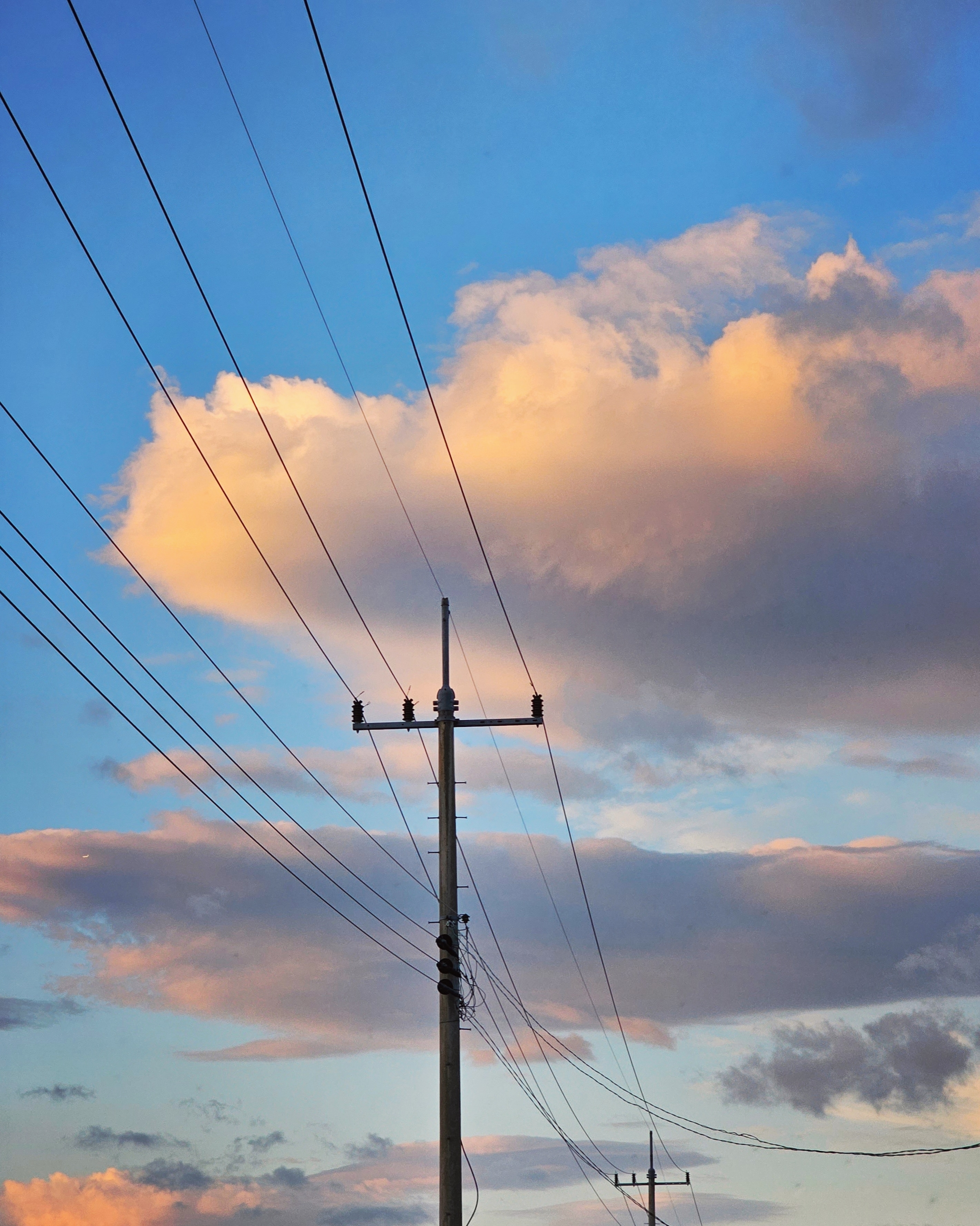 작성자 프로필 이미지