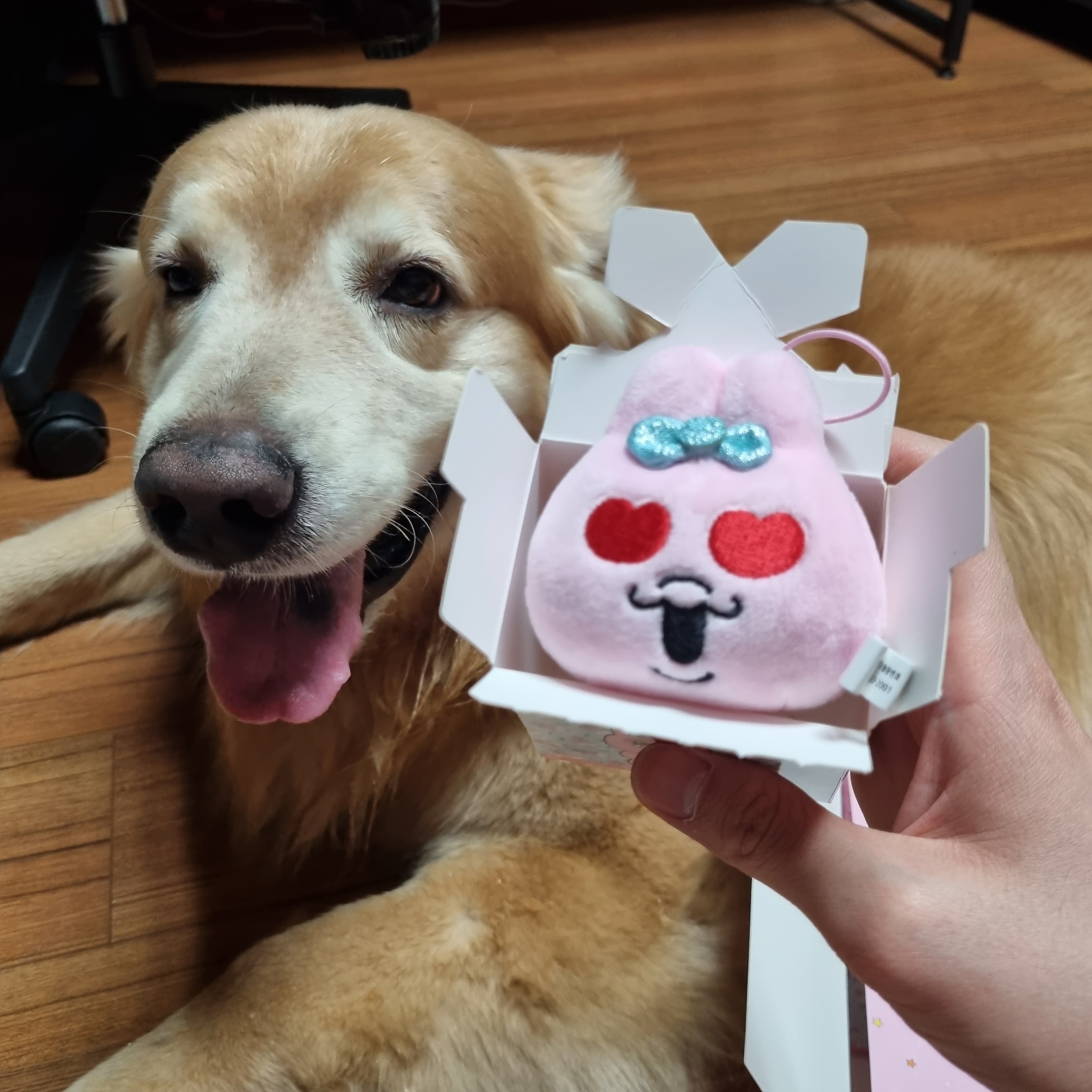 작성자 프로필 이미지