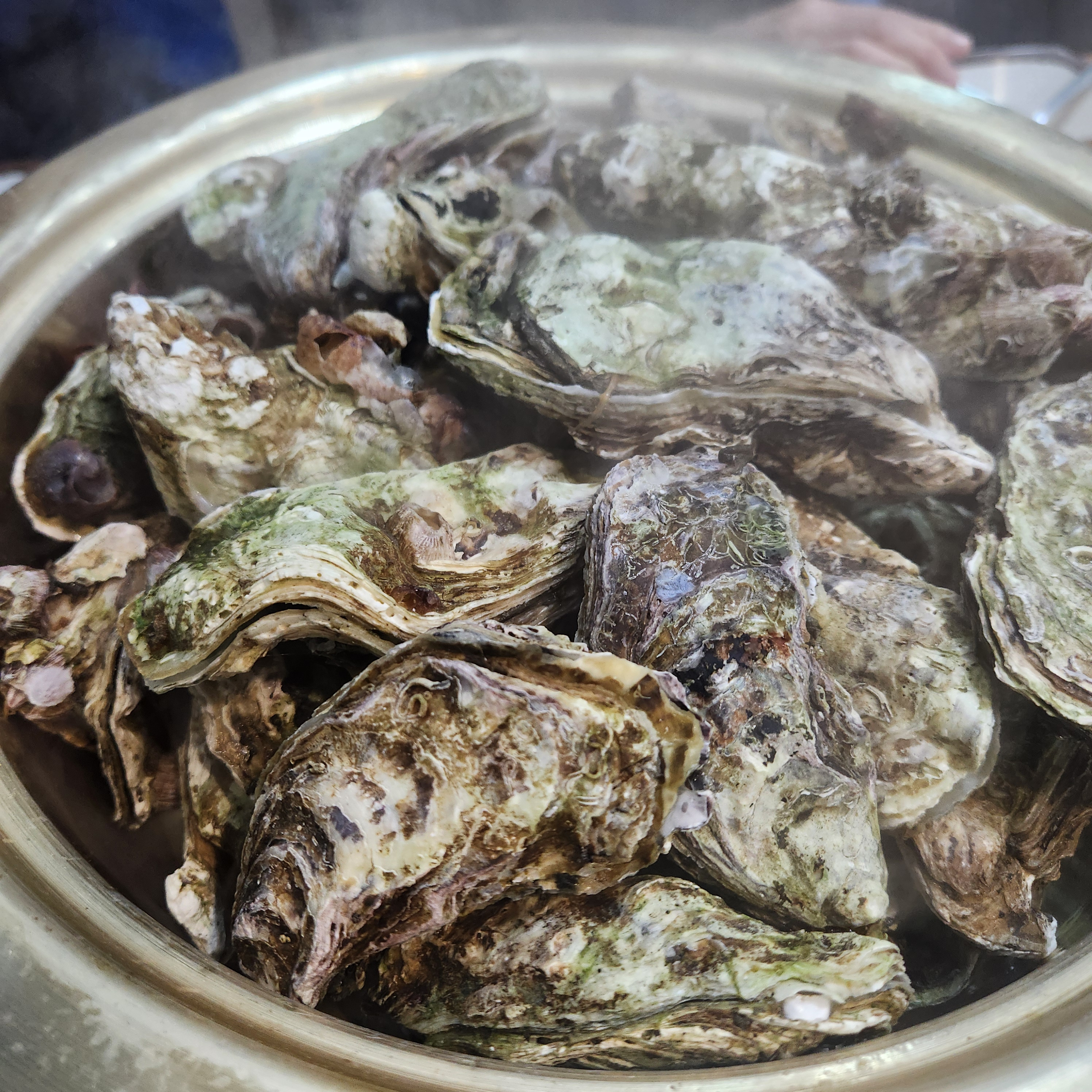 하루세끼 프로필 이미지