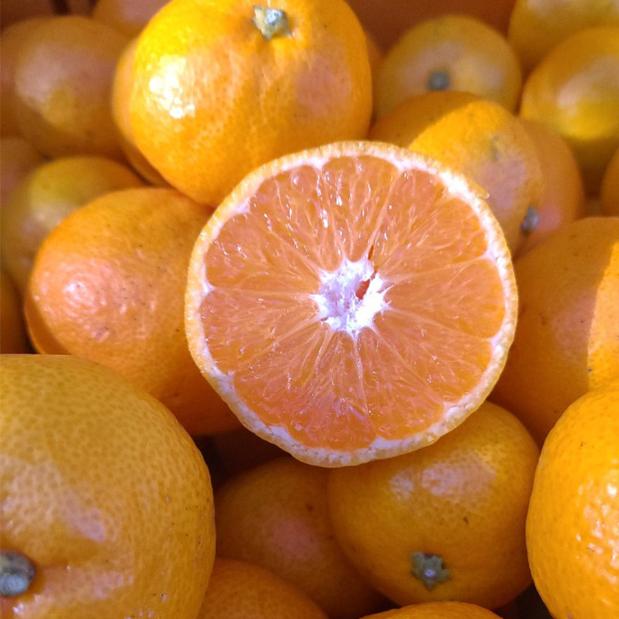 작성자 프로필 이미지