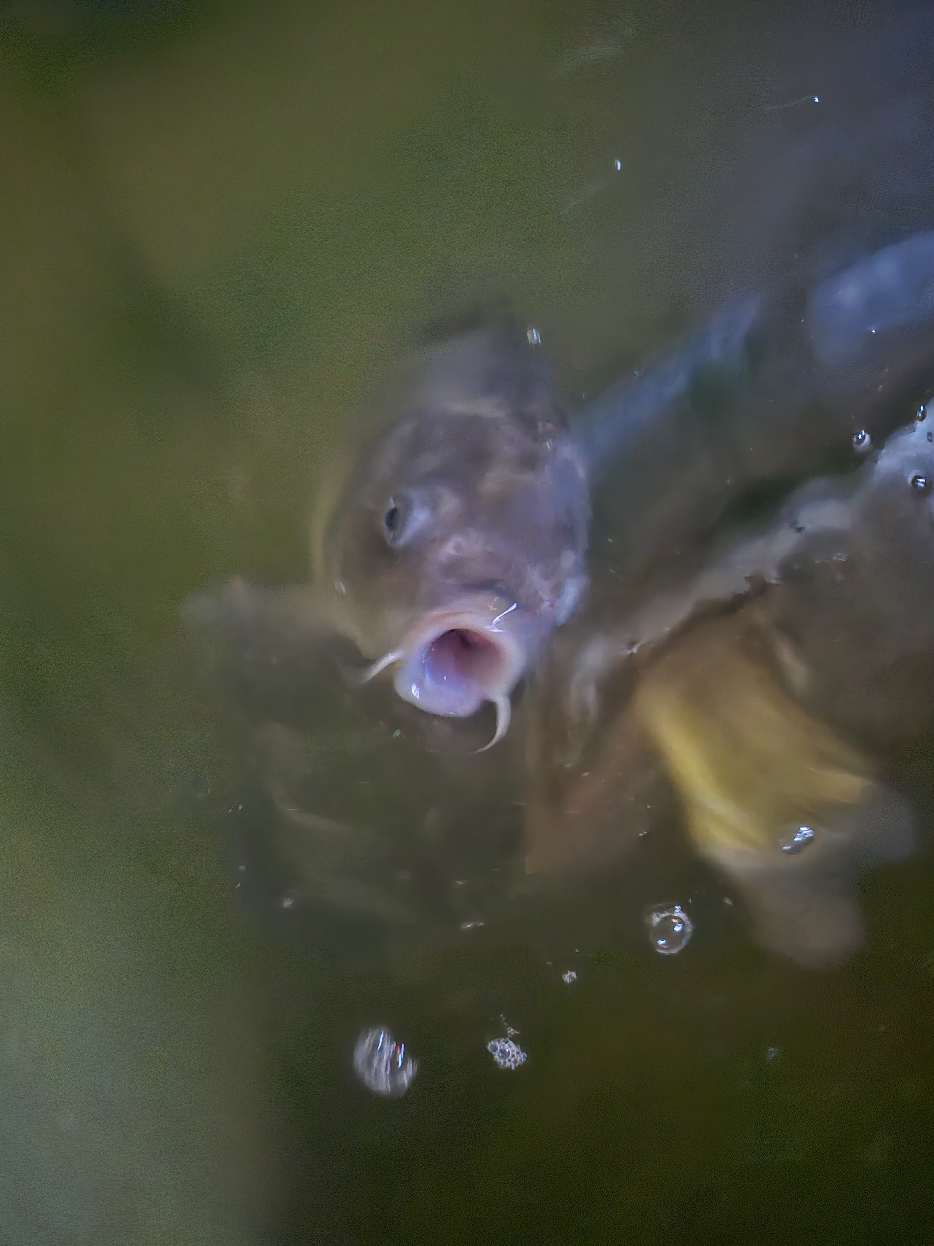 작성자 프로필 이미지