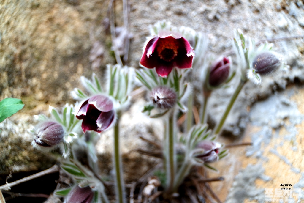 작성자 프로필 이미지