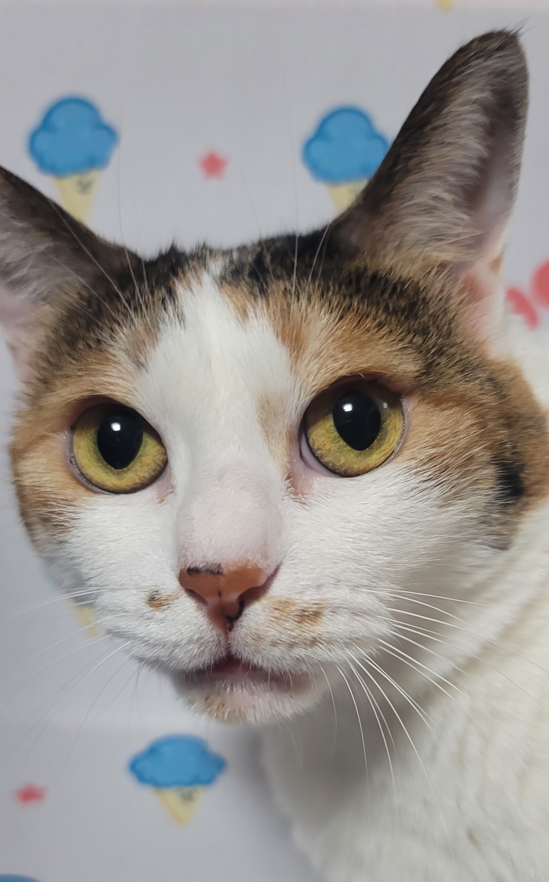 작성자 프로필 이미지