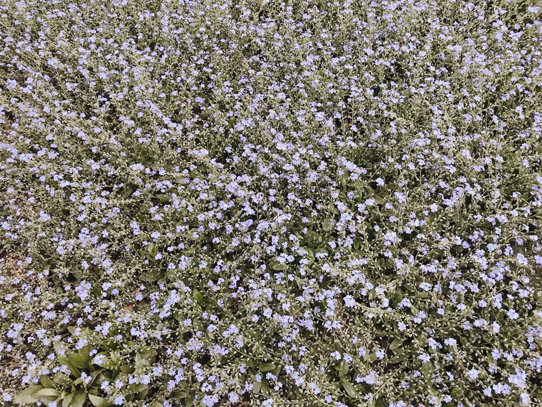 작성자 프로필 이미지