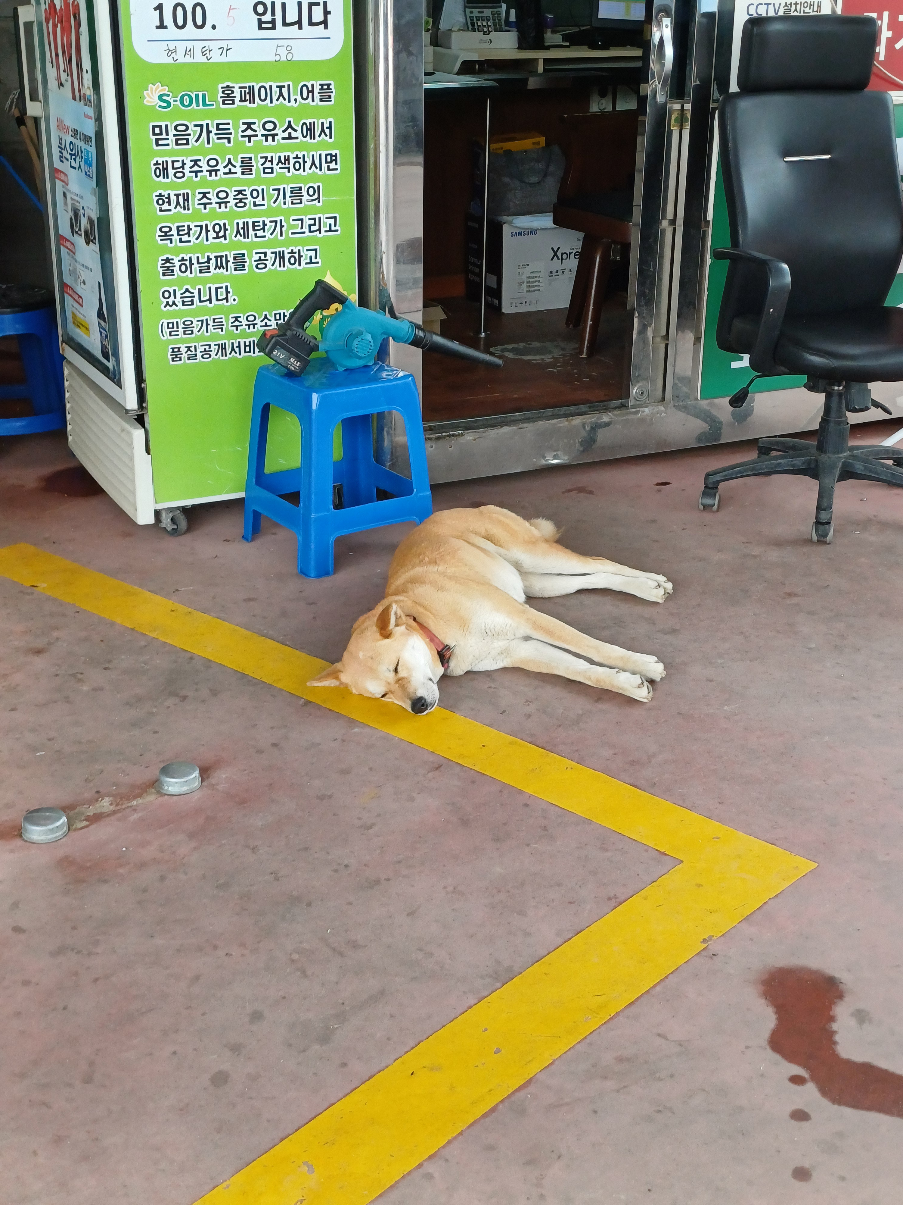 작성자 프로필 이미지