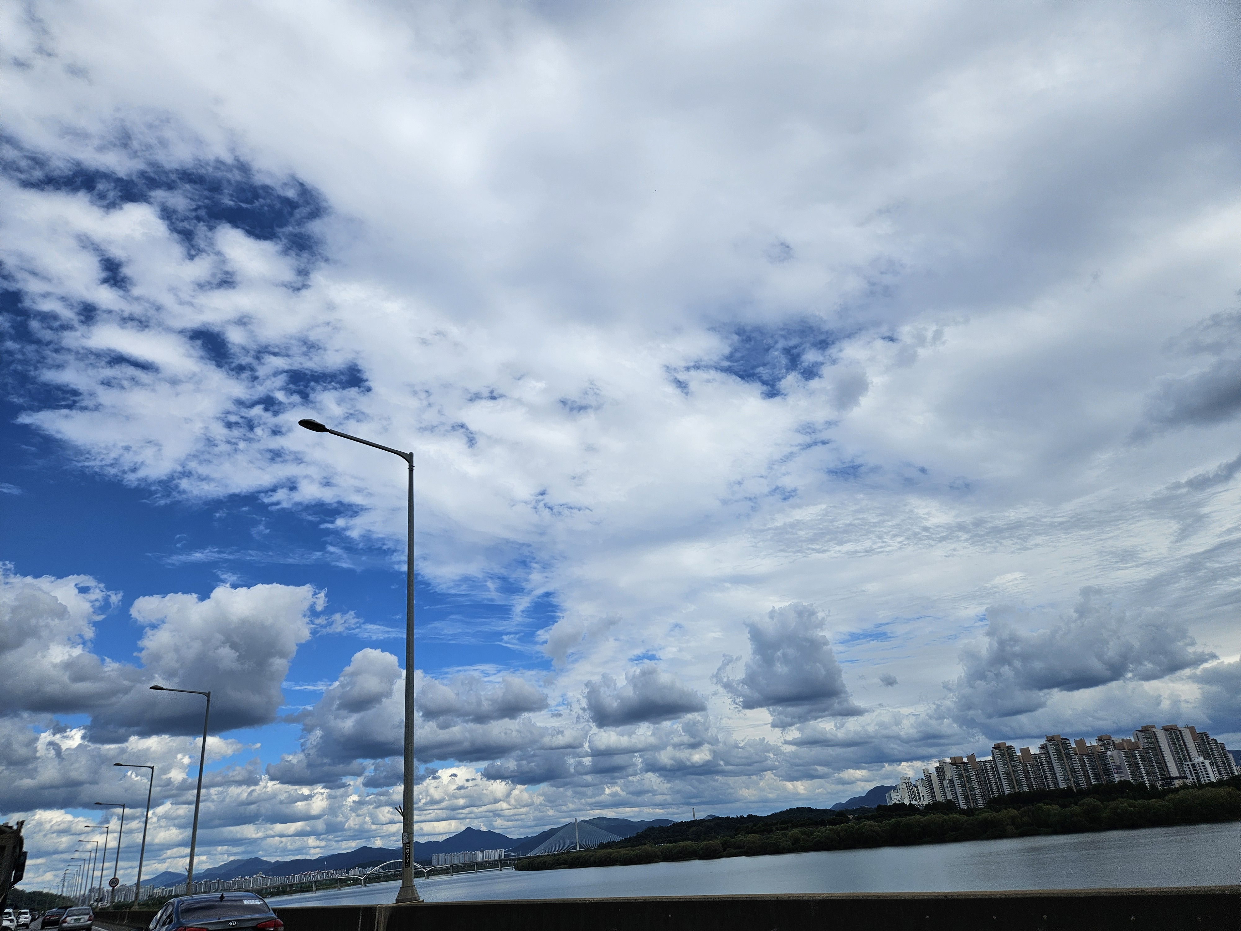 작성자 프로필 이미지