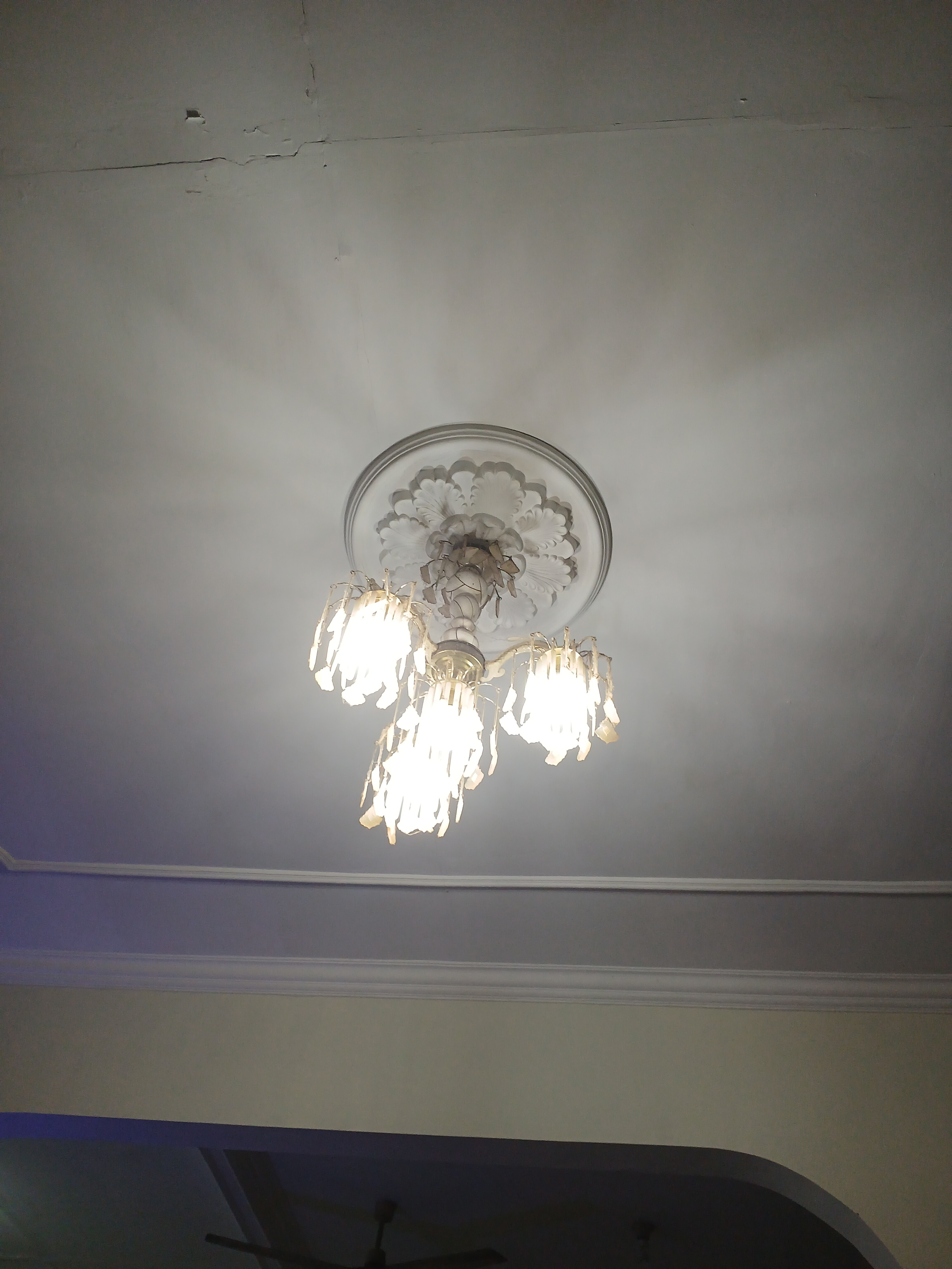 작성자 프로필 이미지