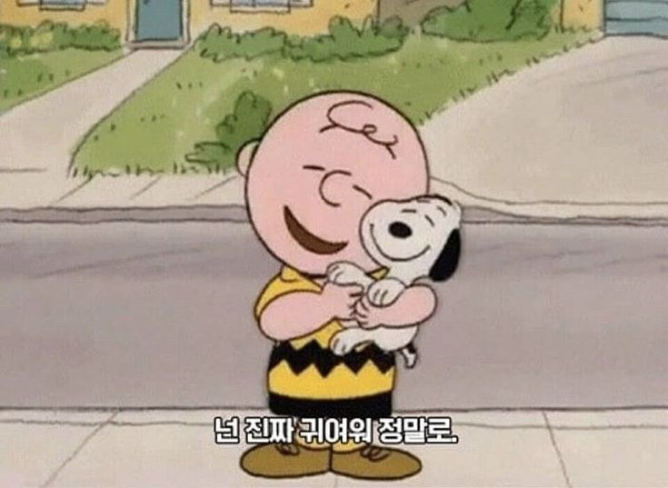 작성자 프로필 이미지