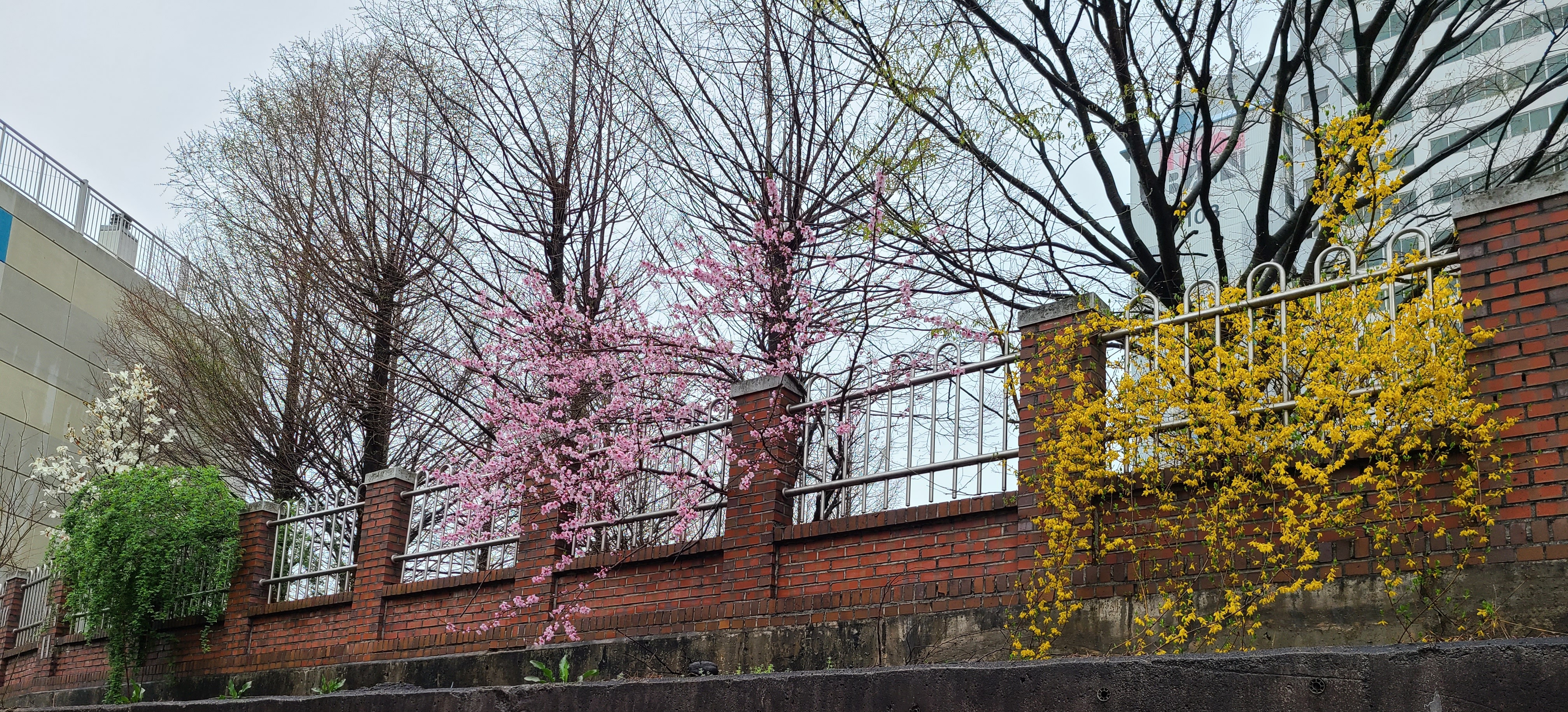 작성자 프로필 이미지