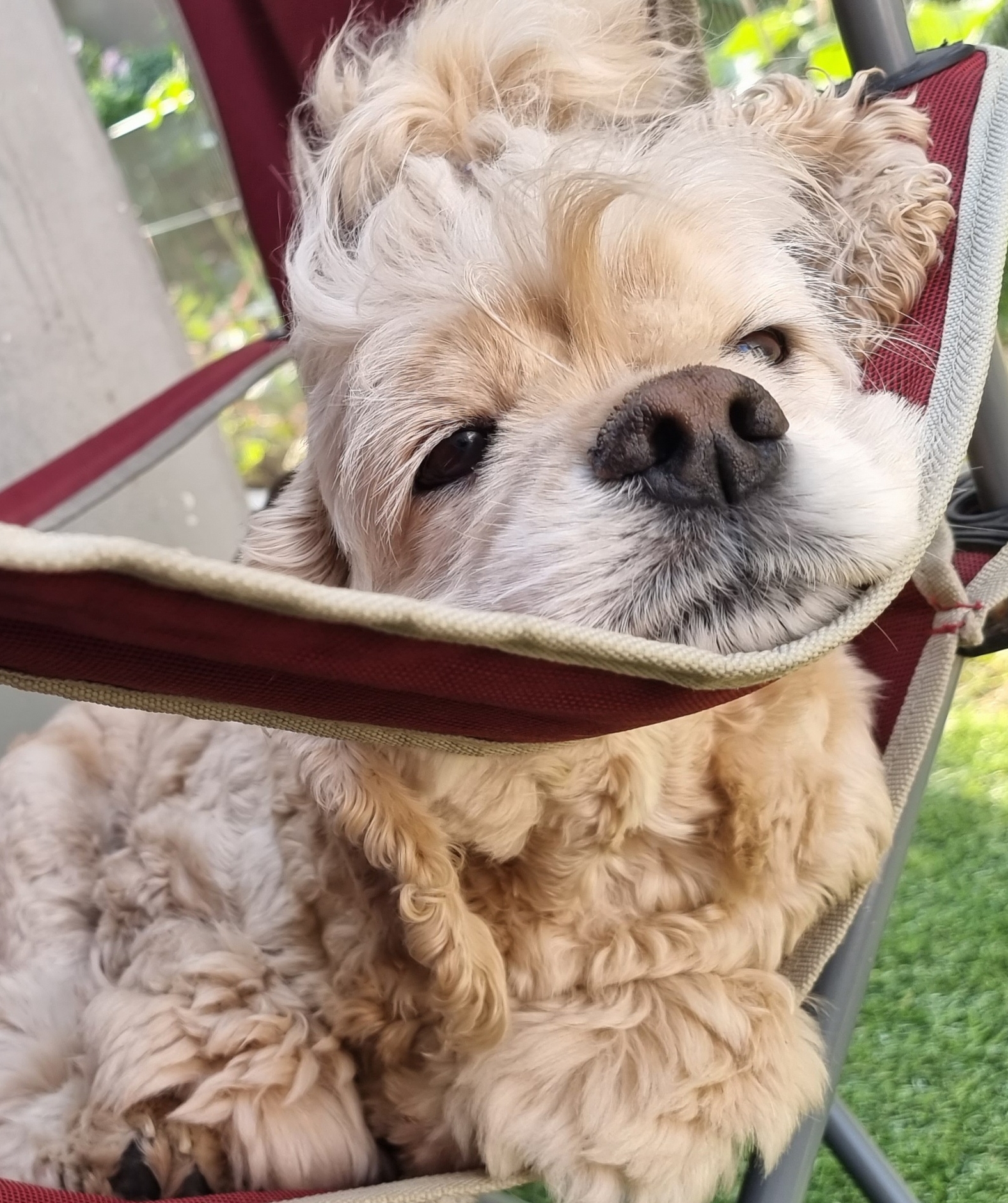 작성자 프로필 이미지