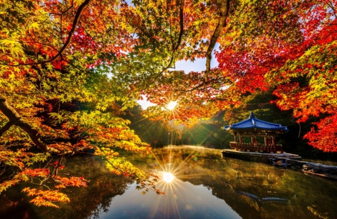 기산 프로필 이미지