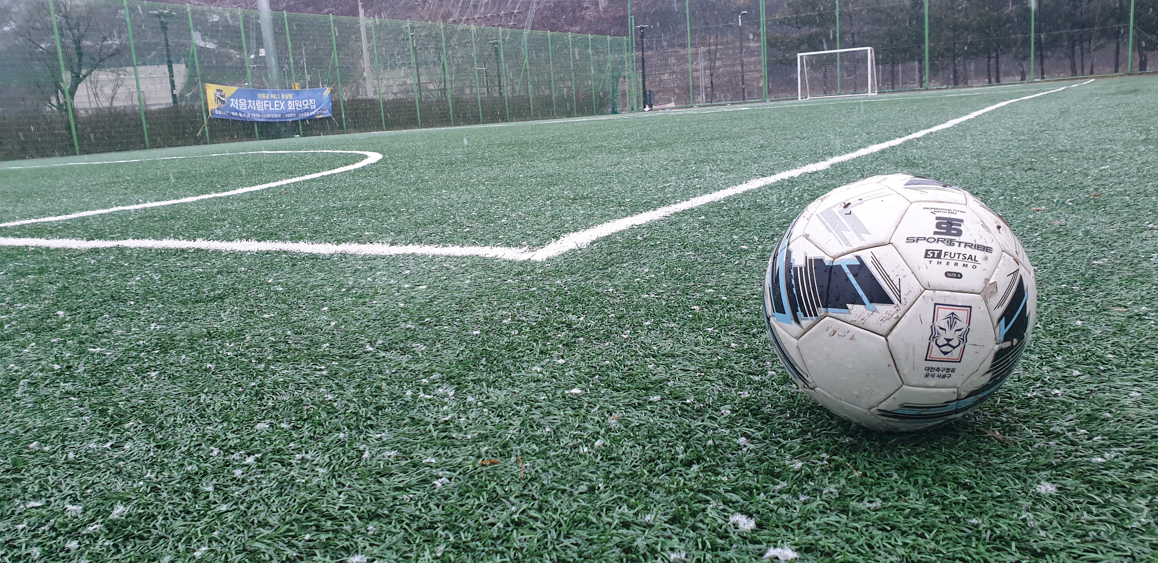 작성자 프로필 이미지