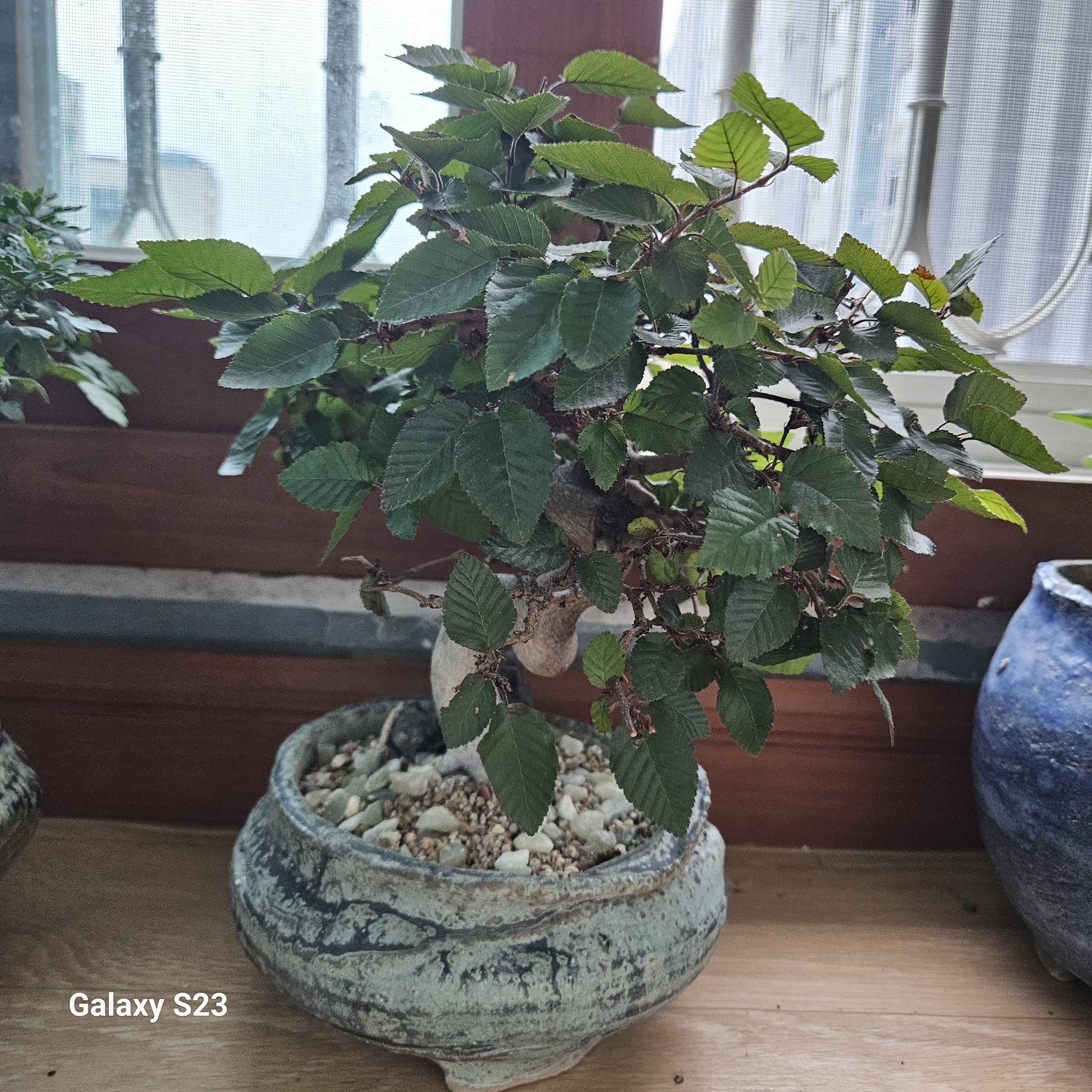 작성자 프로필 이미지