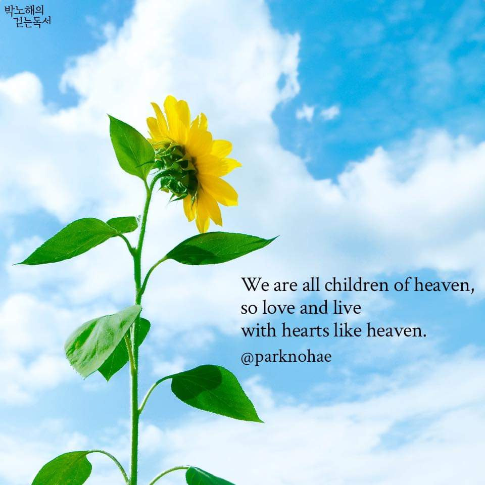 작성자 프로필 이미지