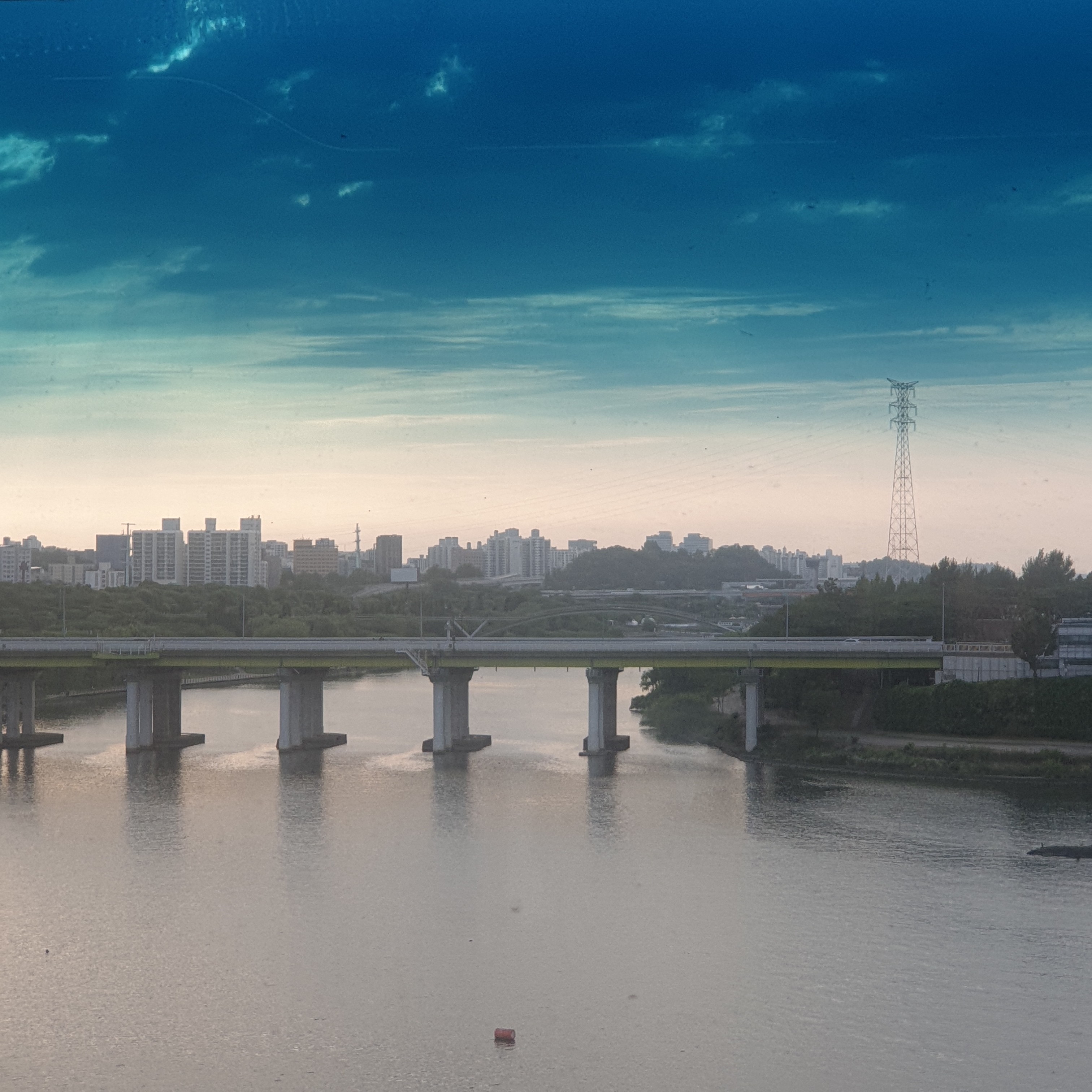 작성자 프로필 이미지