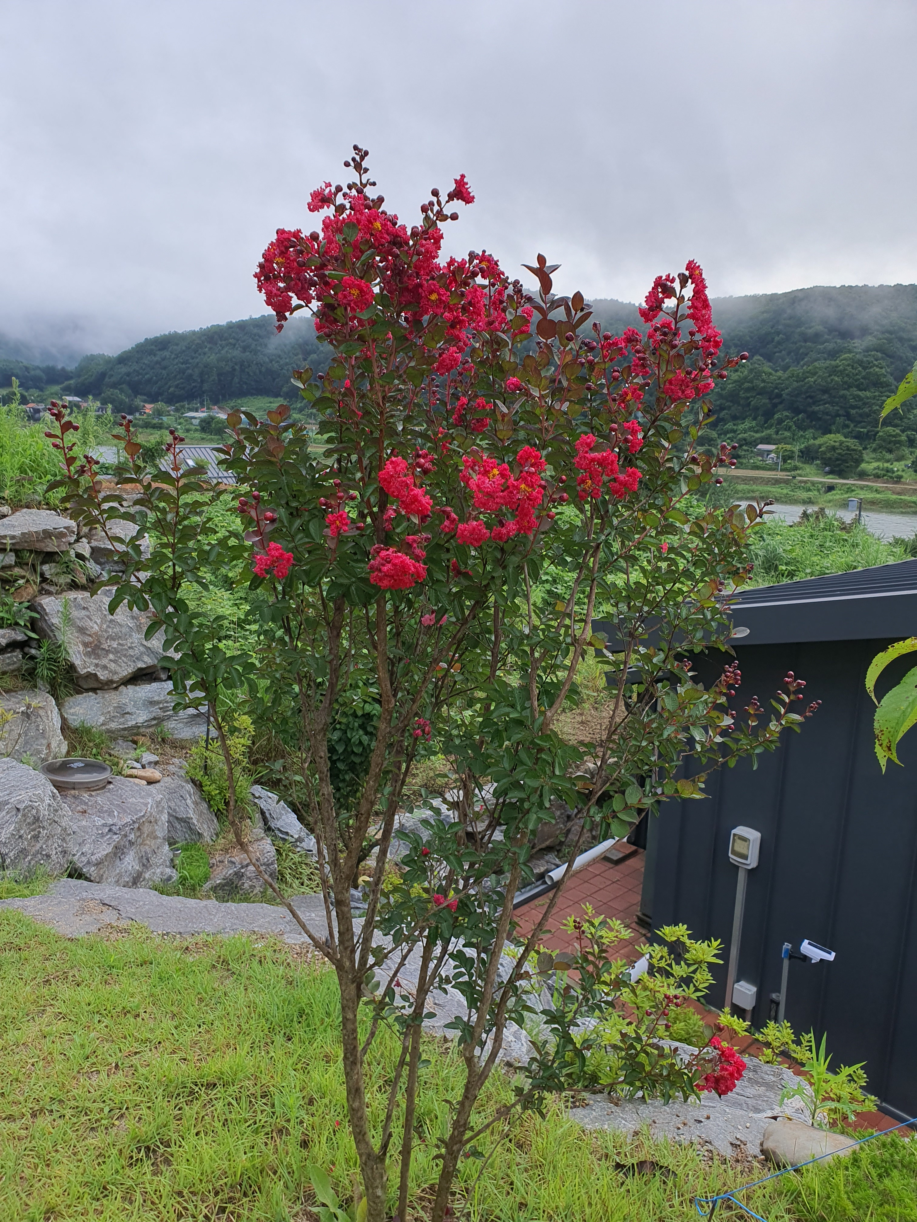 작성자 프로필 이미지