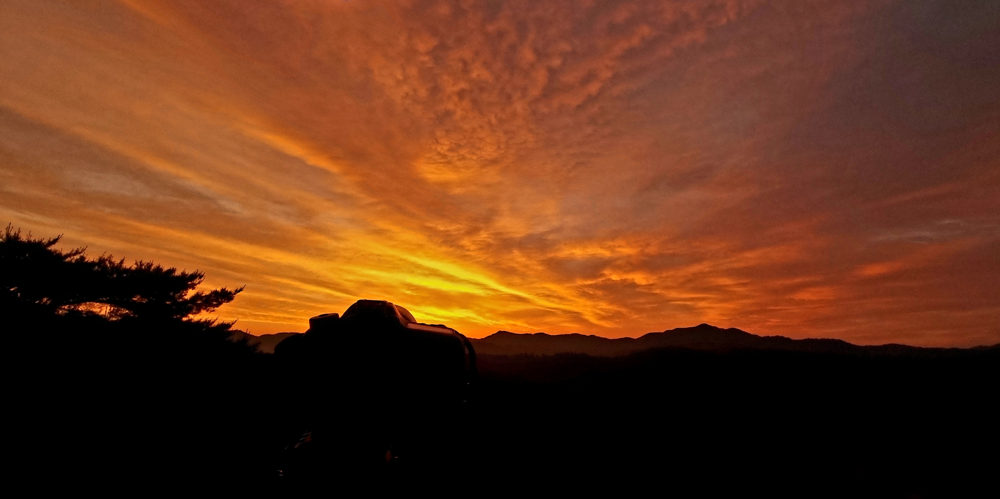 작성자 프로필 이미지