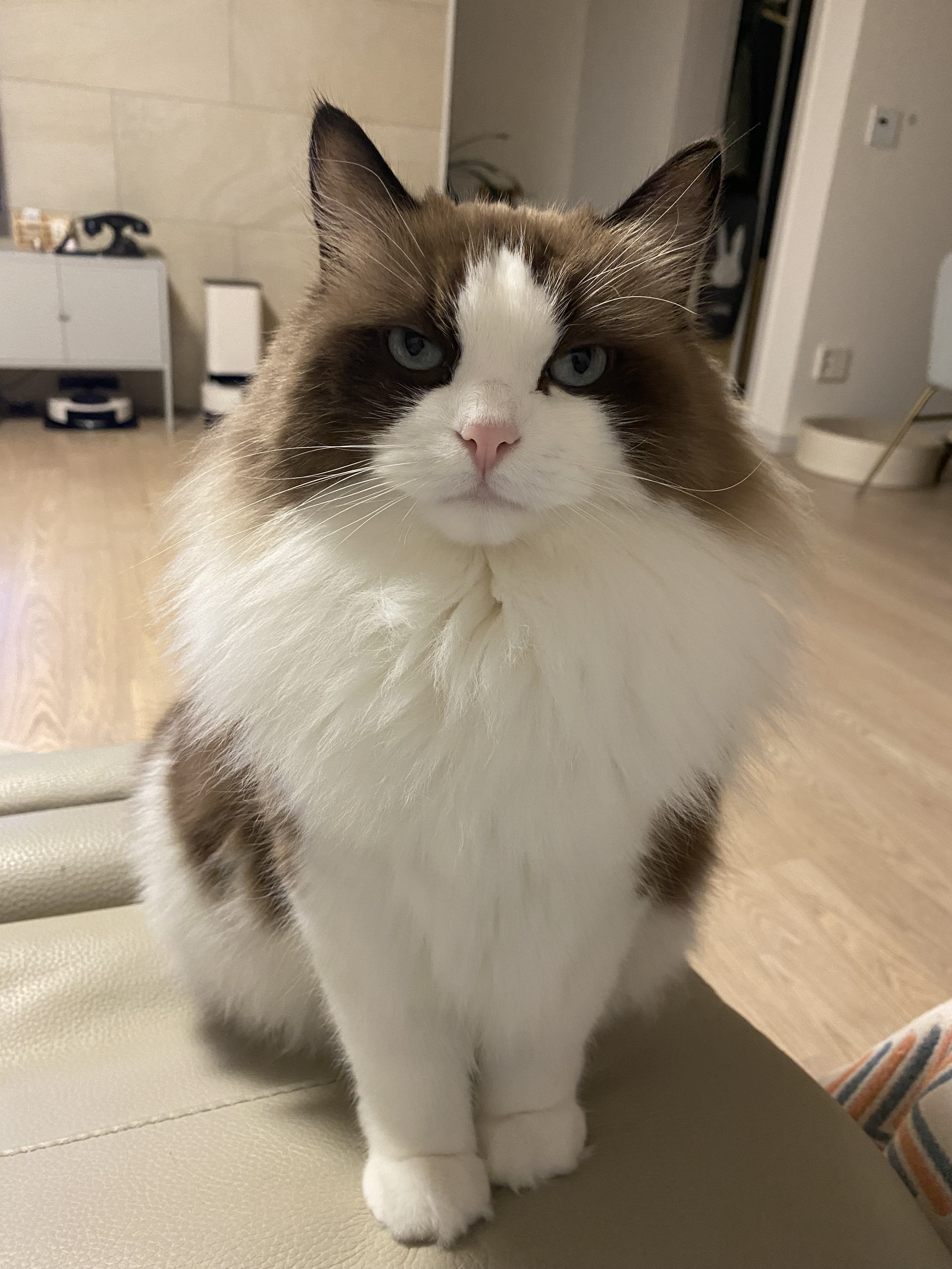 작성자 프로필 이미지