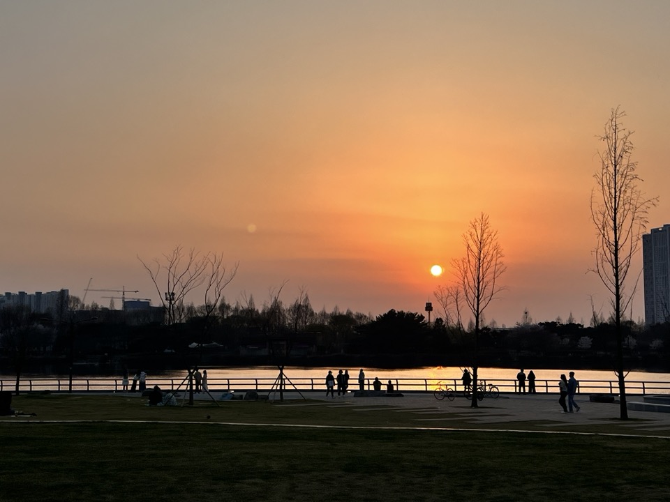 작성자 프로필 이미지