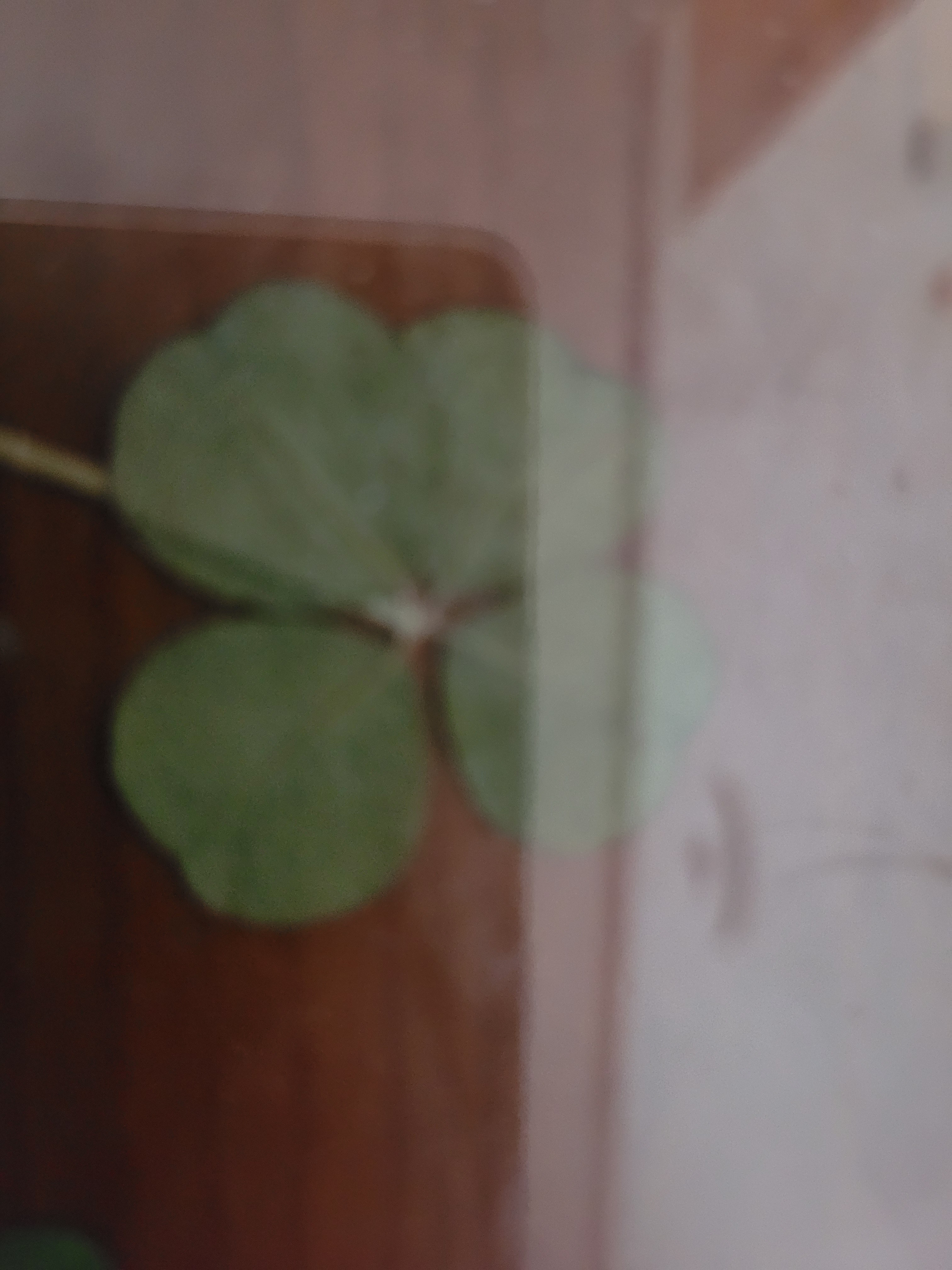 작성자 프로필 이미지