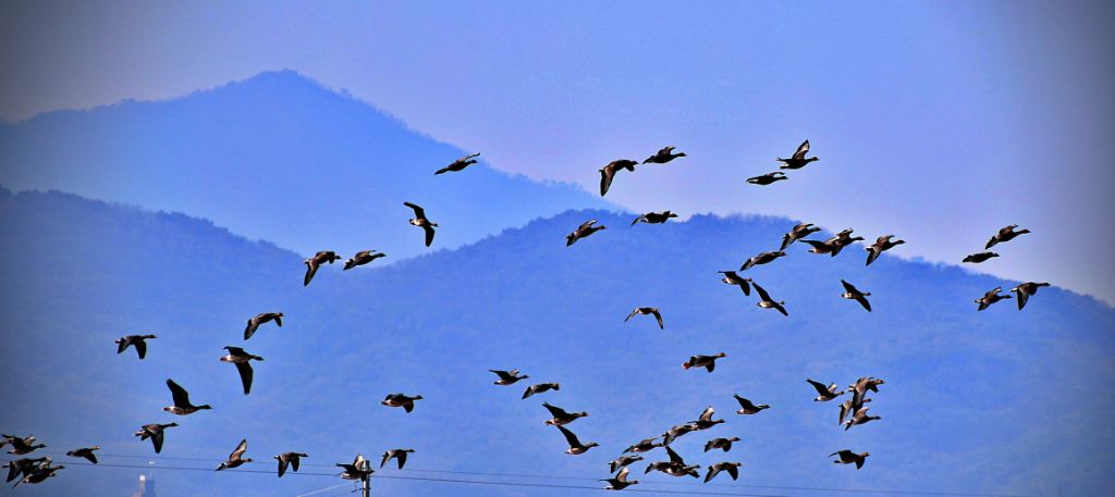 작성자 프로필 이미지