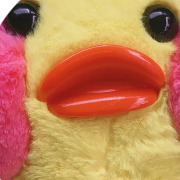 작성자 프로필 이미지