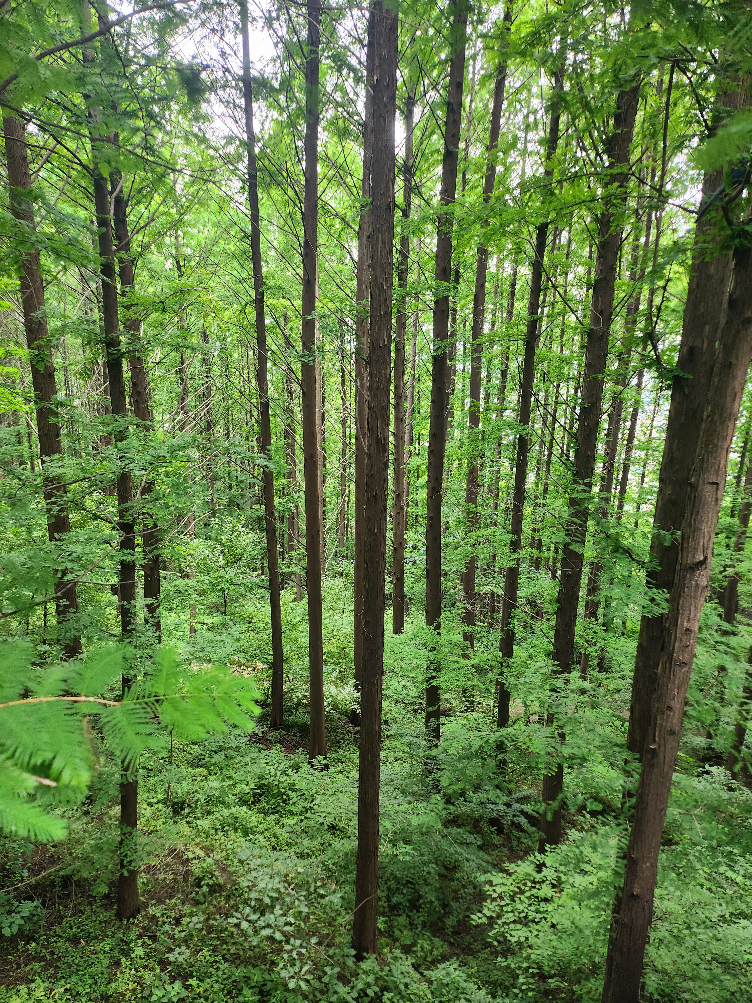 작성자 프로필 이미지