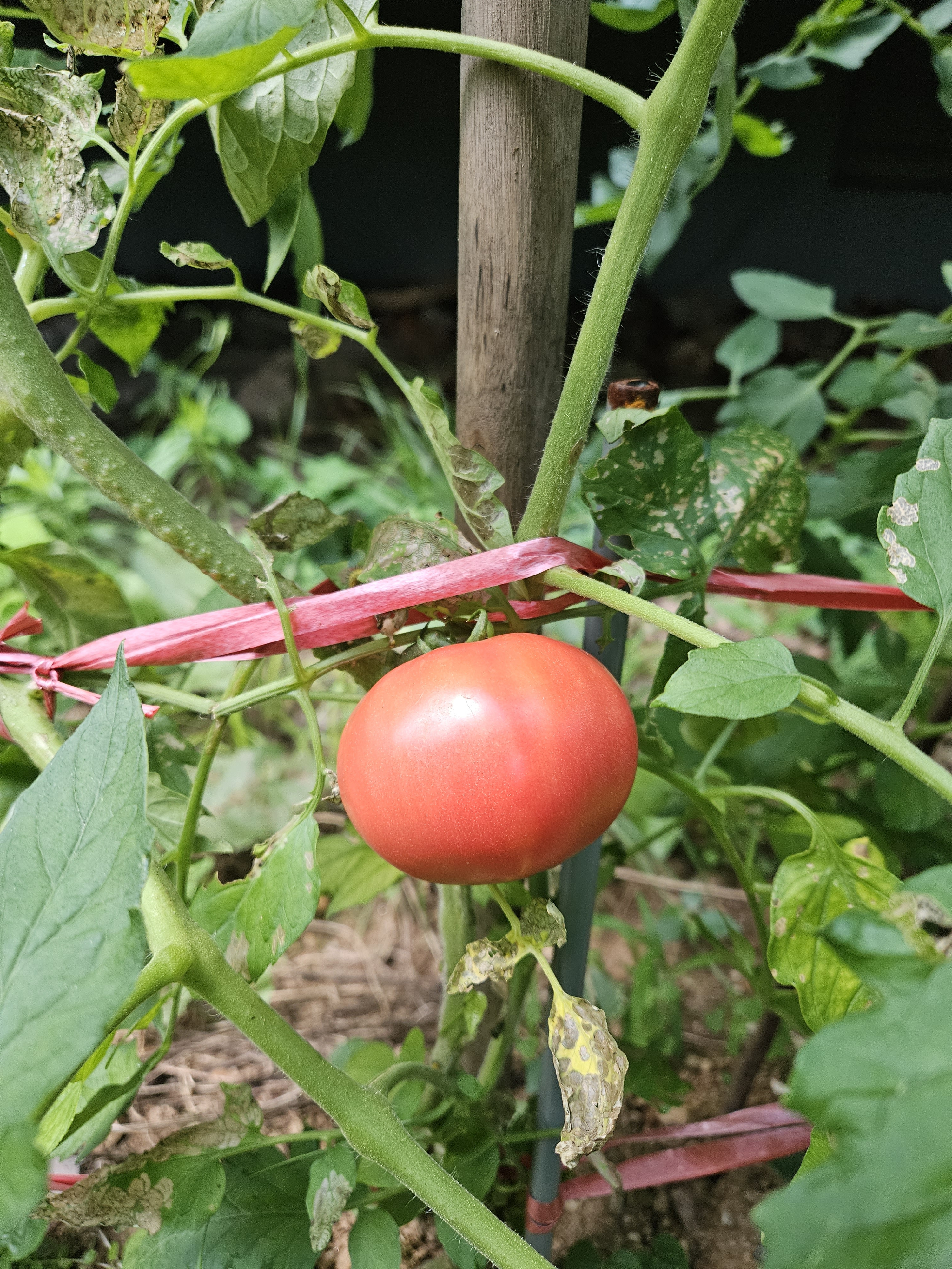 작성자 프로필 이미지