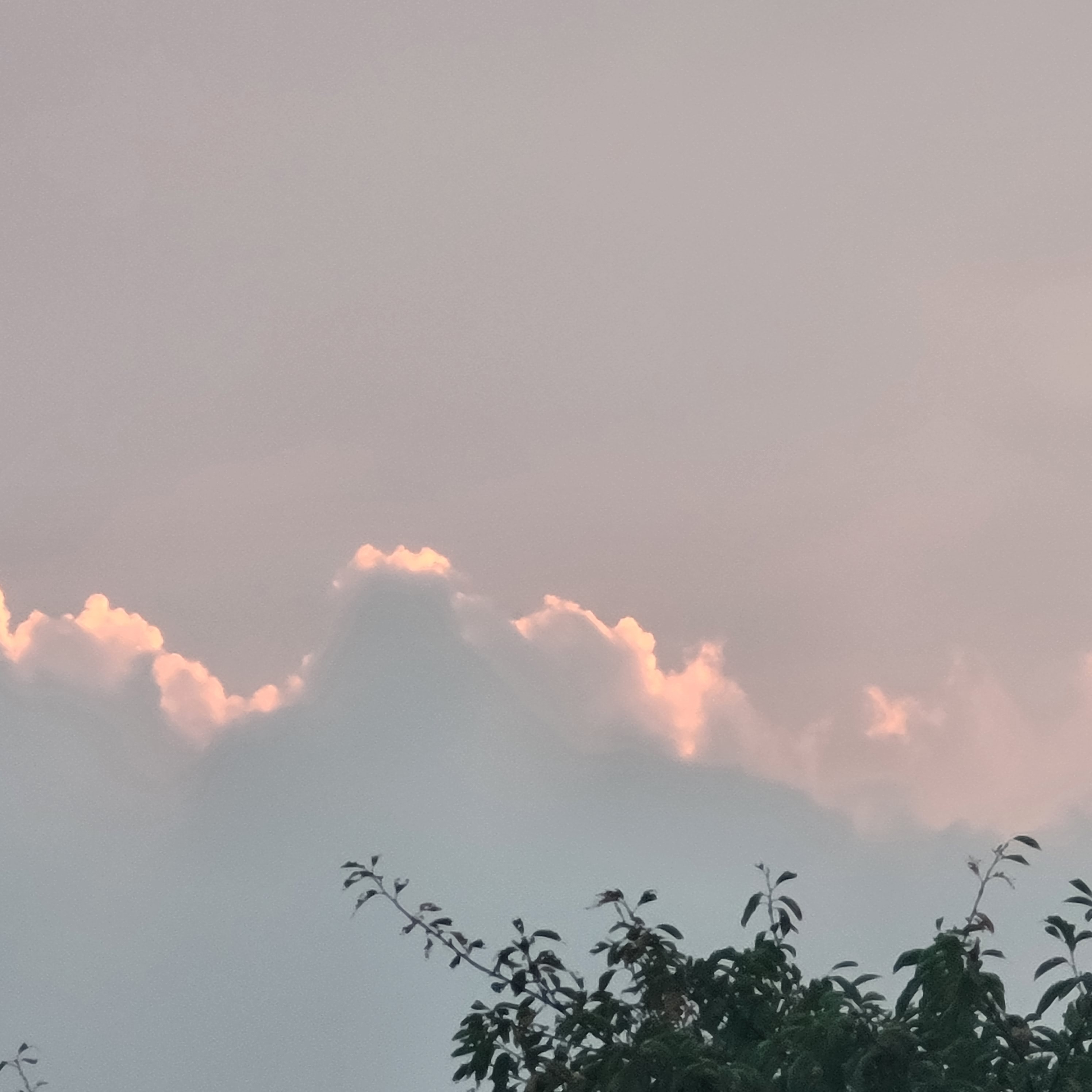 작성자 프로필 이미지