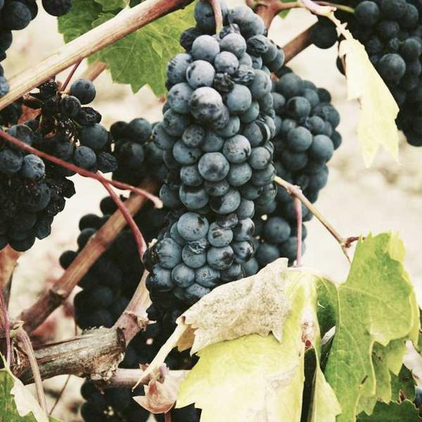 작성자 프로필 이미지