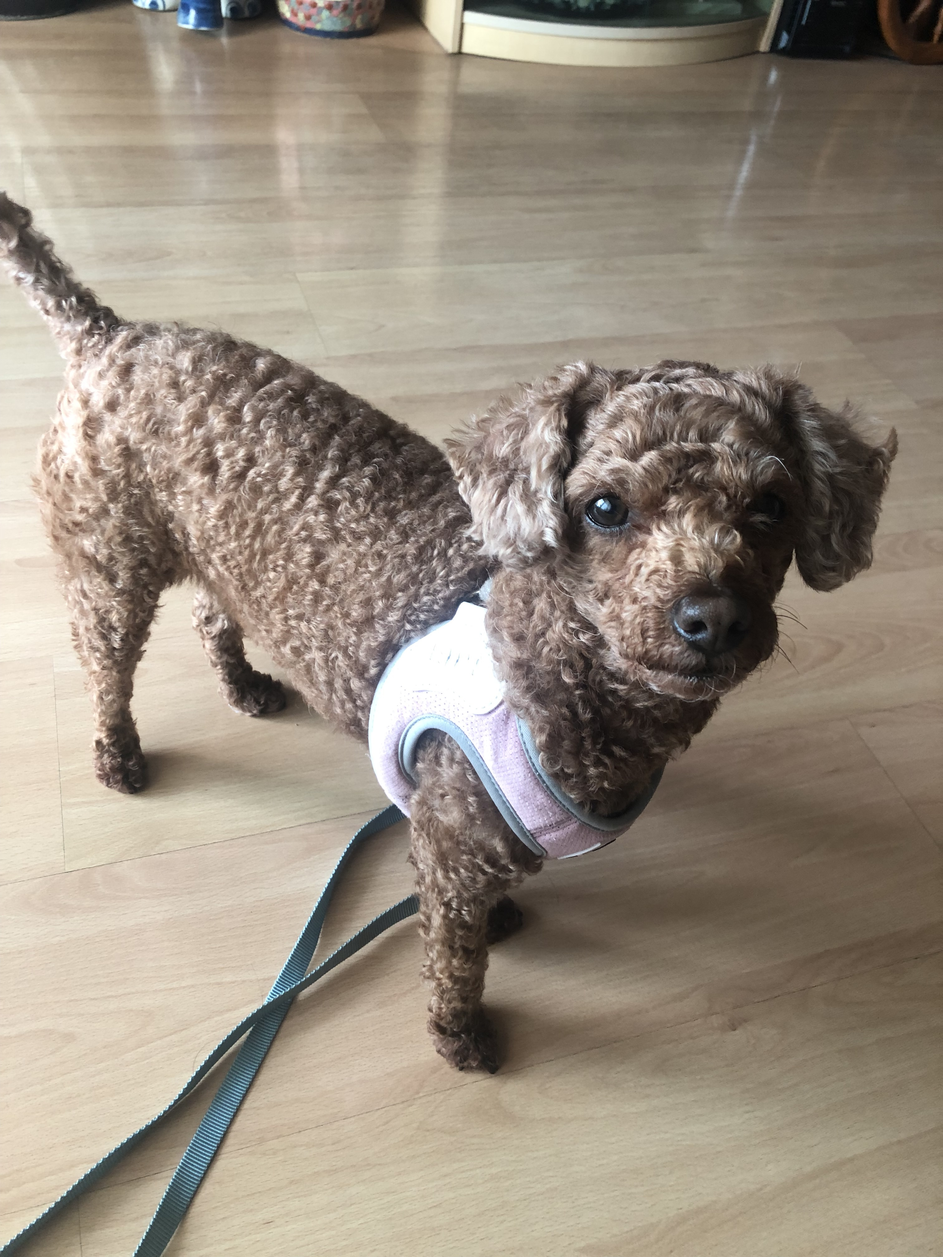 작성자 프로필 이미지