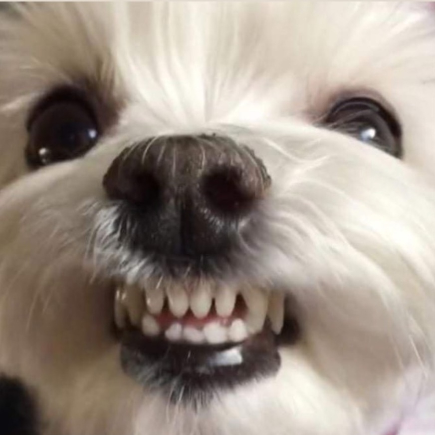 작성자 프로필 이미지