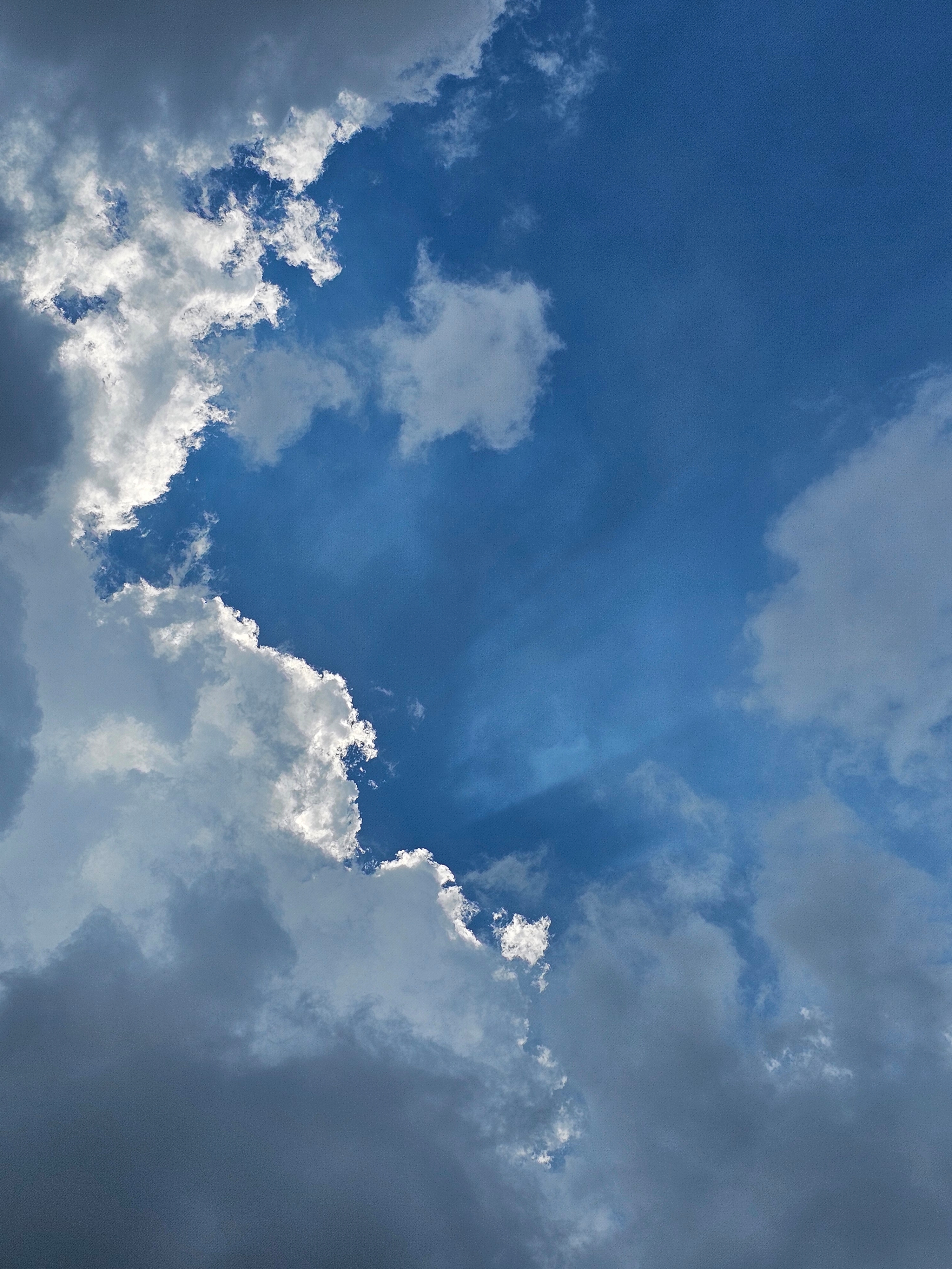 작성자 프로필 이미지