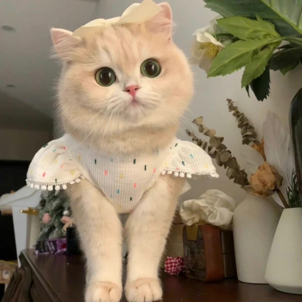 작성자 프로필 이미지