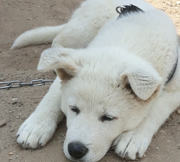 작성자 프로필 이미지